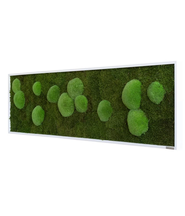 StyleGREEN Bild Aus Wald- Und Kugelmoos, Rechteckig, Ca. B140/H40/T6 Cm 2 StyleGREEN Bild Aus Wald- Und Kugelmoos, Rechteckig, Ca. B140/H40/T6 Cm – Bild 2