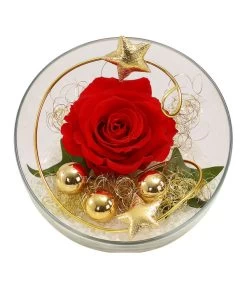 Longlife-Rose, Ca. Ø3 Cm -Garten & Außenbereich 6592539 WE FS 001 LongLifeRoseRotinGlaskugel