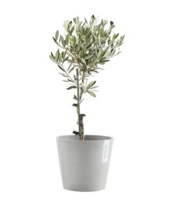 Ecopots Kunststoff-Topf Amsterdam Mit Wassersystem, Rund, Hellgrau -Garten & Außenbereich 6614846 WE FS 004 EcopotsKunststoffTopfAmsterdammitWassersystemrundhellgrau