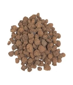 Floragard Tongranulat 5 Floragard Tongranulat -Garten & Außenbereich 6624290 WE DE 001 FloragardTongranulat