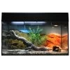 Lucky Reptile Starter Kit Komplettset Bartagame, Ca. B80/H52/T40 Cm