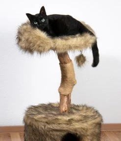 Dobar Petlife Design-Katzenmöbel Ruby, Ca. B45/H88/T45 Cm -Garten & Außenbereich 6689764 WE MO 002 DobarKatzenKratzbaumRuby