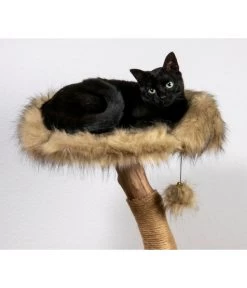 Dobar Petlife Design-Katzenmöbel Ruby, Ca. B45/H88/T45 Cm -Garten & Außenbereich 6689764 WE MO 003 DobarKatzenKratzbaumRuby