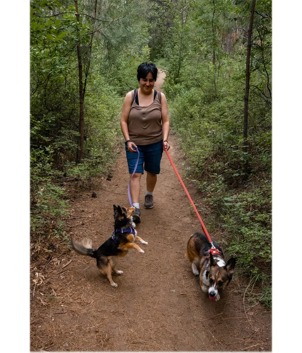 RUFFWEAR® Hundehalsband Front Range™ 4 RUFFWEAR® Hundehalsband Front Range™ – Bild 4