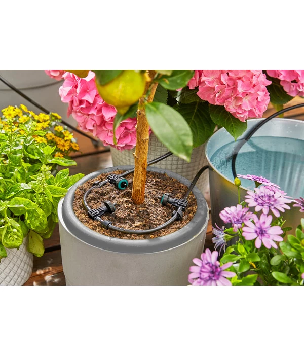 Gardena Solar-Bewässerung Aquabloom 8 Gardena Solar-Bewässerung Aquabloom – Bild 8