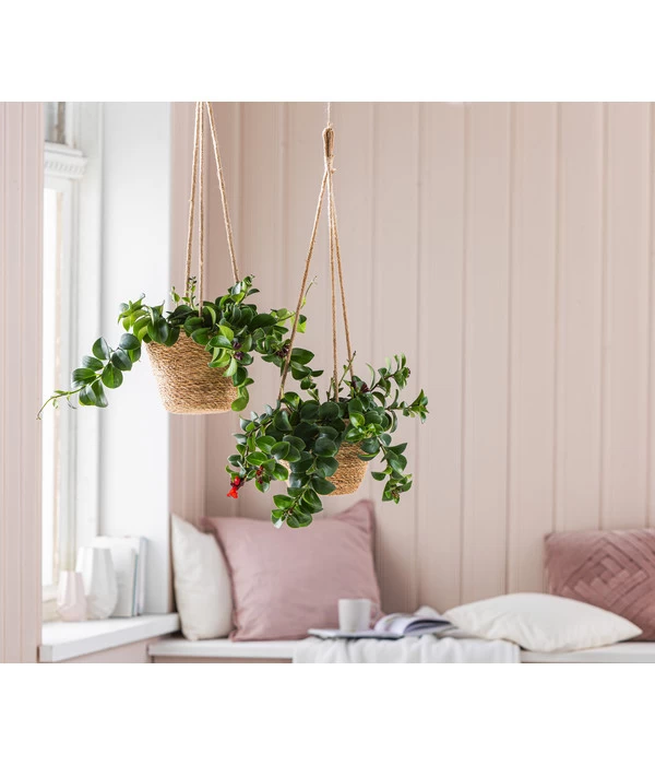 Dehner Seegras-Ampel Igmar 5 Dehner Seegras-Ampel Igmar – Bild 5