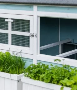 Dehner Hühnerstall Happy Farm Agata, Blau, Ca. B173,5/H149/T130,2 Cm -Garten & Außenbereich 6873392 WE DE 004 MQ Huehnerstallataisolierthellblau