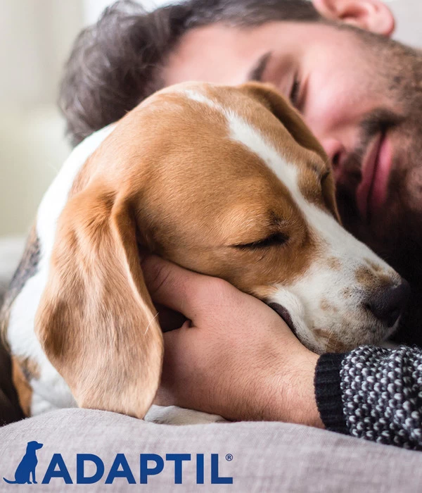 ADAPTIL® Calm Halsband Für Hunde 4 ADAPTIL® Calm Halsband Für Hunde – Bild 4