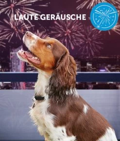 ADAPTIL® Calm Halsband Für Hunde 13 ADAPTIL® Calm Halsband Für Hunde -Garten & Außenbereich 6877104 6877146 WE DE 004 CevaHZbhAdaptilCalmHalsband