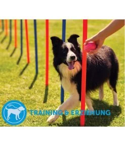 ADAPTIL® Calm Halsband Für Hunde 15 ADAPTIL® Calm Halsband Für Hunde -Garten & Außenbereich 6877104 6877146 WE DE 006 CevaHZbhAdaptilCalmHalsband