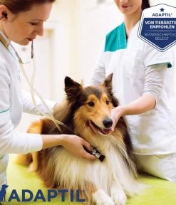 ADAPTIL® Calm Halsband Für Hunde 16 ADAPTIL® Calm Halsband Für Hunde -Garten & Außenbereich 6877104 6877146 WE DE 007 CevaHZbhAdaptilCalmHalsband