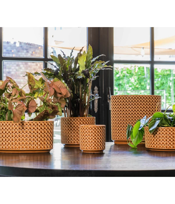 Dehner Keramik-Jardiniere Thies, Oval, Gelb, Ca. B26/H25/T12 Cm 2 Dehner Keramik-Jardiniere Thies, Oval, Gelb, Ca. B26/H25/T12 Cm – Bild 2