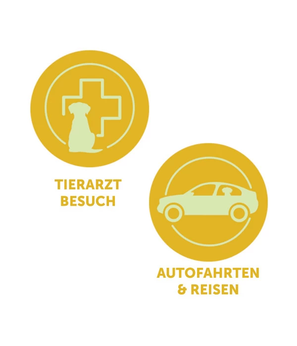 ADAPTIL® Transport Spray Für Hunde 6 ADAPTIL® Transport Spray Für Hunde – Bild 6