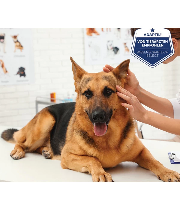 ADAPTIL® Transport Spray Für Hunde 2 ADAPTIL® Transport Spray Für Hunde – Bild 2