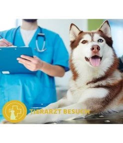 ADAPTIL® Transport Spray Für Hunde 8 ADAPTIL® Transport Spray Für Hunde -Garten & Außenbereich 6914733 6914691 WE MO 002 AdaptilCalmTransportSpray