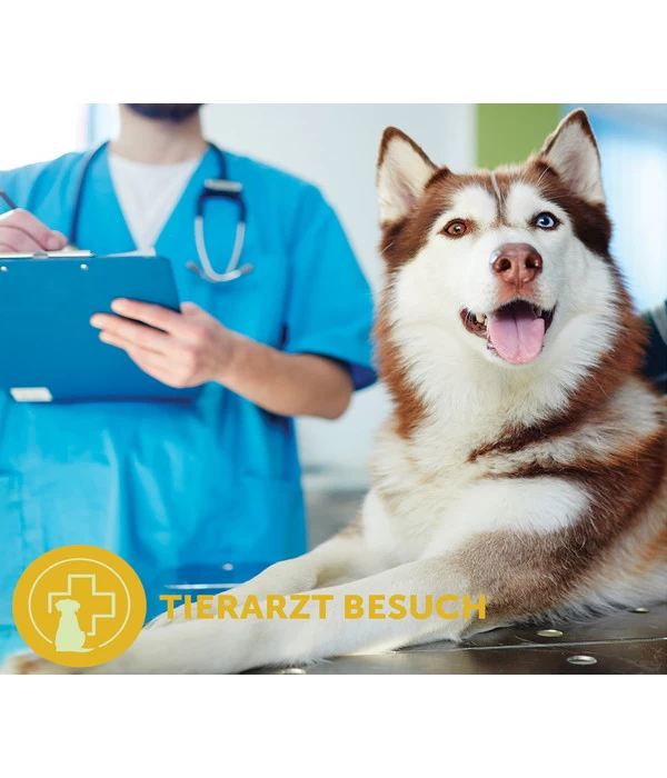 ADAPTIL® Transport Spray Für Hunde 3 ADAPTIL® Transport Spray Für Hunde – Bild 3