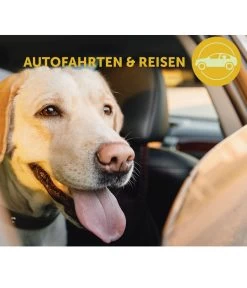 ADAPTIL® Transport Spray Für Hunde 9 ADAPTIL® Transport Spray Für Hunde -Garten & Außenbereich 6914733 6914691 WE MO 003 AdaptilCalm TransportSpray