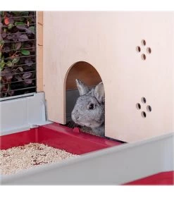 Ferplast Nagerheim Krolik 140 Plus, Ca. B142/H50/T60 Cm 15 Ferplast Nagerheim Krolik 140 Plus, Ca. B142/H50/T60 Cm -Garten & Außenbereich 6953194 WE MO 003 FerplastNagerKKrolik140plus