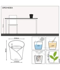 LECHUZA® ORCHIDEA, All-in-One Set, Ca. Ø18/H20 Cm -Garten & Außenbereich 6963375 6963383 6963391 WE MO 01 OrchideaWeissAnthraRot