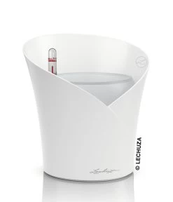 LECHUZA® ORCHIDEA, All-in-One Set, Ca. Ø18/H20 Cm