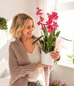 LECHUZA® ORCHIDEA, All-in-One Set, Ca. Ø18/H20 Cm -Garten & Außenbereich 6963375 WE MO 01 OrchideaWeiss