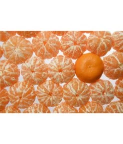 Mandarine 9 Mandarine -Garten & Außenbereich 7120306 WE MO 001 MandarineCitrusReticulataPixabay