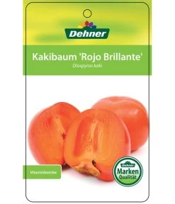 Dehner Kaki 'Rojo Brillante' - Kaki-Pflaume 'Rojo Brillante' -Garten & Außenbereich 7167414 KakiRojoBrillante Etikett 01