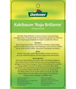 Dehner Kaki 'Rojo Brillante' - Kaki-Pflaume 'Rojo Brillante' -Garten & Außenbereich 7167414 KakiRojoBrillante Etikett 2