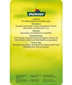 Rhododendron 'P. J. Mezitt' -Garten & Außenbereich 7426638 RhododendronPJMezitt Etikett 02