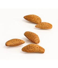 Mandelbaum -Garten & Außenbereich 7603889 WE DE 002 MandelPalatinaPrunusDulcisDehnerExpressHerzig