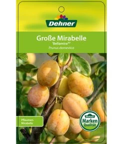 Dehner Mirabelle 'Bellamira' -Garten & Außenbereich 7611163 GrosseMirabelleBellamira Etikett 1