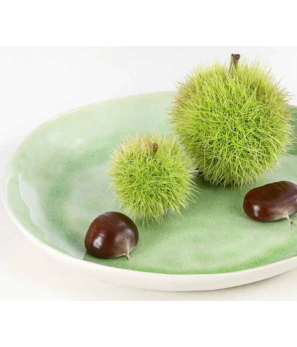 Esskastanie 'Bouche De Betizac' 3 Esskastanie 'Bouche De Betizac' – Bild 3