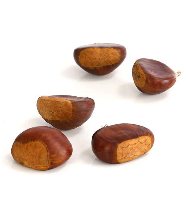 Esskastanie 'Bouche De Betizac' 5 Esskastanie 'Bouche De Betizac' – Bild 5