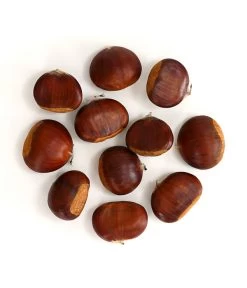 Esskastanie 'Bouche De Betizac' 8 Esskastanie 'Bouche De Betizac' -Garten & Außenbereich 7621998 WE FS 003 EsskastanieMaroneCastaneaSativaDehnerExpressHerzig