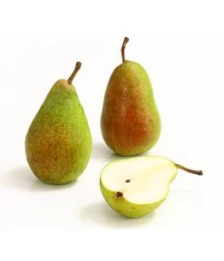 Sommerbirne 'Gute Luise' -Garten & Außenbereich 7658578 WE DE 006 BirneGuteLuiseDehnerExpressHerzig