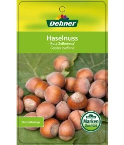 Dehner Haselnuss 'Rote Zellernuss' -Garten & Außenbereich 7663073 HaselnussRoteZellernuss Etikett 1