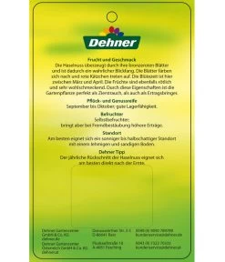 Dehner Haselnuss 'Rote Zellernuss' -Garten & Außenbereich 7663073 HaselnussRoteZellernuss Etikett 2