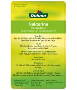 Dehner Nektarine 'Independence' -Garten & Außenbereich 7687304 NektarineIndependence Etikett 2