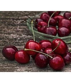 Süßkirsche 'Merchant'