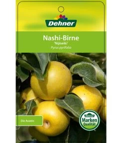 Nashi-Birne 'Nijiseiki' -Garten & Außenbereich 7719826 Nashi BirneNijiseiki Etikett 1