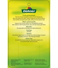 Nashi-Birne 'Nijiseiki' -Garten & Außenbereich 7719826 Nashi BirneNijiseiki Etikett 2