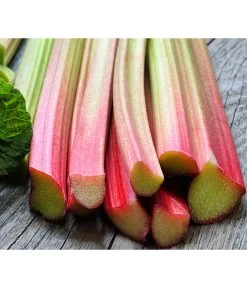 Dehner Gourmet Garten Himbeer-Rhabarber