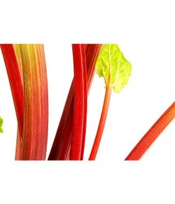 Dehner Gourmet Garten Himbeer-Rhabarber -Garten & Außenbereich 7736028 PR DE 002 RhabarberHimbeere2LiterDehnerExpressHerzig