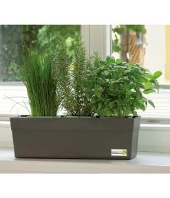 GREENBAR® Kräuterkasten, Ca. B48/H15,5/T16 Cm -Garten & Außenbereich 7750482 PR MO 001 GreenbarAnleitungIndoorSeidl