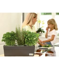 GREENBAR® Kräuterkasten, Ca. B48/H15,5/T16 Cm -Garten & Außenbereich 7750482 PR MO 003 GreenbarAnleitungIndoorSeidl