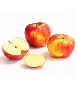 Herbstapfel 'Topaz' -Garten & Außenbereich 7763931 WE DE 008 ApfelTopazDehnerExpressHerzig