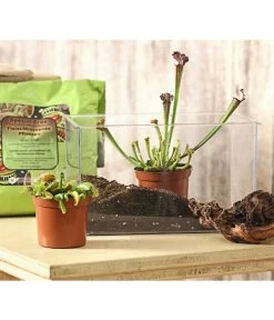 Karnivoren-Erde -Garten & Außenbereich 7976103 WE MO 001 KarnivorenErdeSubstratFuerFleischfressendePflanzen3LiterDehnerExpressHerzig