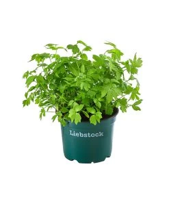 Bioland Liebstöckel