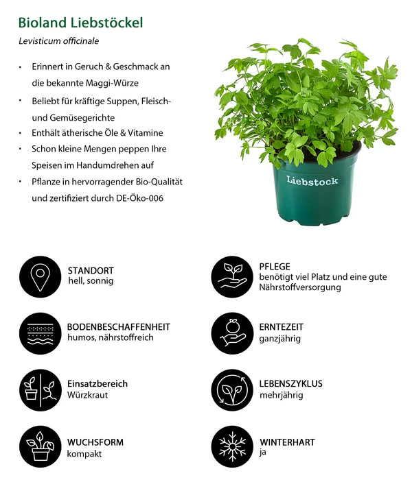 Bioland Liebstöckel 2 Bioland Liebstöckel – Bild 2