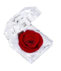 Longlife-Rose In Juwelenbox, Ca. Ø3,5 Cm